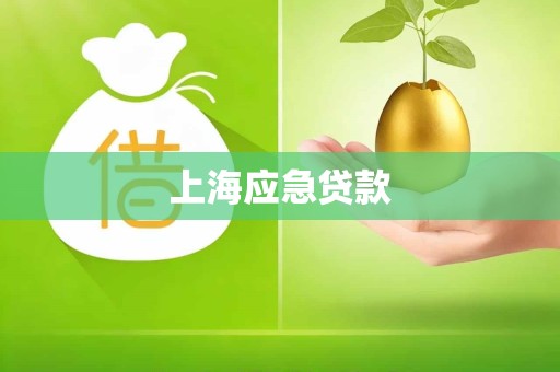 上海应急贷款