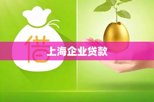 上海企业贷款